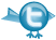 follow on twitter